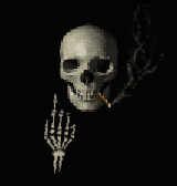 Skelette4